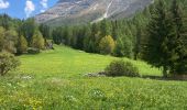 Trail Walking Val-Cenis - Lanslevillard  - Photo 3