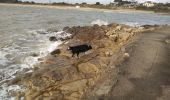 Excursión Senderismo La Trinité-sur-Mer - La Trinité sur Mer  08/03/20 . - Photo 2