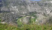 Tour Wandern Saint-Maurice-Navacelles - Cirque de Navacelles Causses et Gorges de la Vis - Photo 20