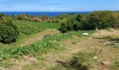 Excursión Senderismo Le Lorrain - Morne Pomme - Photo 2