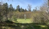 Tocht Stappen Compiègne - en forêt de Compiègne_48_sur les Routes de la Mariolle et du Grand Veneur - Photo 4