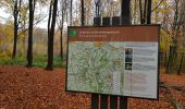 Trail Walking Gulpen-Wittem - 2021-10-28_12h14m38_1475 - Photo 4