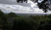 Tour Wandern Cambremer - Saint Pair du Mont- Dozulé - Photo 13