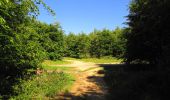 Randonnée Marche Pierrefonds - en forêt de Compiègne_30_la Tournante sous le Mont Saint-Mard - Photo 4