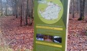 Trail Walking Plaisir - Forêt de Ste Appoline - Photo 2