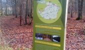 Percorso Marcia Plaisir - Forêt de Ste Appoline - Photo 2