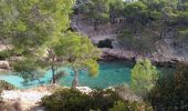 Tocht Stappen Cassis - cassis en vau - Photo 1