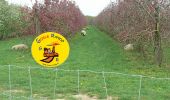 Tocht Stappen Versigny - SM_DROIZELLES_ 8Km - Photo 3