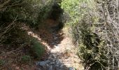 Tocht Stappen Plan-de-Baix - Canyon des Gueulards - Plateau du Vellan  - Photo 16