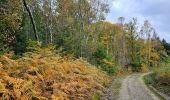 Tour Wandern Gulpen-Wittem - Epen - Vijlen - Mechelen  - Photo 11