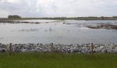 Excursión Bicicleta híbrida Sluis - Cadzand Zwin Zoute  - Photo 8