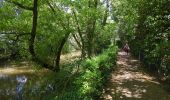 Tocht Stappen Straatsburg - La ceinture verte de Strasbourg - Photo 1