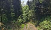 Randonnée Marche Climbach - Climbronn et le fossé antichar - Photo 19
