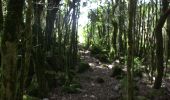 Trail Walking Prugnanes - roc paradet - Photo 2