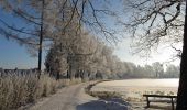 Tour Zu Fuß Gemeinde Gmünd - Habsburg-Lothringen-Route (blau) - Photo 8