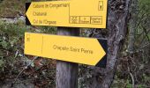 Trail Walking Beauvezer - Gorges St Pierre  - Photo 4