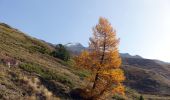 Trail Walking Saint-Michel-de-Maurienne - Croix de Bellecombe-2022-10-28 - Photo 3