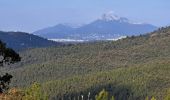 Trail Walking Hyères - N3 1er Borrels - Photo 10