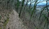 Trail Walking Froges - Froges-Montfallet-Champ près Froges - Photo 9