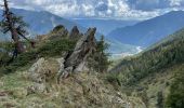 Trail Walking Valdeblore - La Colmiane : Mont Peipori - Photo 19