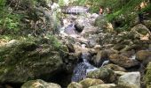 Tour Wandern Saint-Vincent-de-Mercuze - Cascades de l’Alloix Montalieu - Photo 8