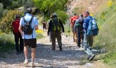 Tour Wandern La Valette-du-Var - SityTrail - Le tour du coudon - Photo 16