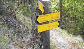 Trail Walking Beauvezer - Gorges St Pierre  - Photo 6