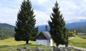 Tour Zu Fuß Gemeinde Unken - Wanderweg 8 - Unken - Photo 6