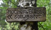 Tour Wandern Jalhay - 20210705 - Solwaster 6.9 Km - Photo 6