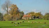 Trail On foot Zoeterwoude - Balkengatroute - Photo 2