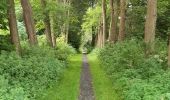 Trail Walking Péruwelz - Forêt de Bon-Secours et pays minier de l’Escaut - Photo 1