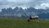 Randonnée Marche Brixen - Bressanone - Plosehütte et Rossalm - Photo 19