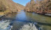 Tour Wandern La Roche-en-Ardenne - rando ornitho warempage 24/02/2021 - Photo 15