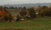 Trail Walking Saint-Martin - SAINT-MARTIN Mirande  le sentier des clouques  reco G4 3005118 - Photo 3