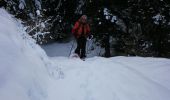 Tocht Sneeuwschoenen Selonnet - Crète des melezes - Photo 2