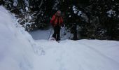 Randonnée Raquettes à neige Selonnet - Crète des melezes - Photo 2