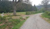 Trail Walking Nassogne - Vers les bisons - Photo 19