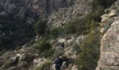 Tour Wandern Popolasca - Popolasca - Photo 9