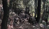 Trail Walking Ota - Gorge de spelunca  - Photo 1