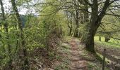 Tocht Stappen Manhay - rando avec Thérèse et Pascale  - Photo 2