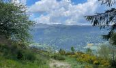 Trail Walking Murat-le-Quaire - Puy Loup- Banne d’Ordanche-Gacherie - Photo 3