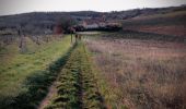 Randonnée Marche nordique Gaillac - Laborie Gaillac - Photo 1