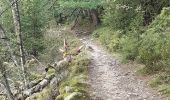 Tour Wandern Weismes - robertville . barrage . nez de napoléon.  reinhardstein . barrage . pont . robertville - Photo 13