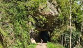 Trail Walking Metzeral - Sentier historique - Mittlach - Fischboedle - Photo 14