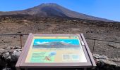 Trail On foot La Orotava - S-9 Sendero Teide-Pico Viejo–Mirador de las Narices del Teide - Photo 3