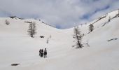 Trail Snowshoes Entraunes - ancien col de la Cayolle - Photo 6