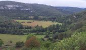 Trail Walking Saint-Sulpice - Etape 2 St Sulpice Cabrenet - Photo 11