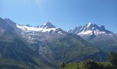 Tour Wandern Chamonix-Mont-Blanc - Aiguillette des Posettes 2201m 6.7.22 - Photo 9