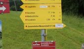 Excursión A pie Maria Alm am Steinernen Meer - Wanderweg 12 - Photo 3