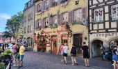 Randonnée Marche Colmar -  TREK ALSACIEN (balade découverte de Colmar)  - Photo 7